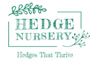 Hedge Nursery Logo