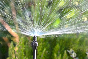 WaterIrrigation.co.uk